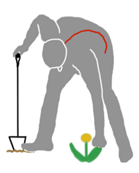 Gardening Incorrect Posture