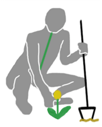 Gardening correct posture