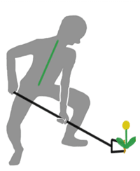 Gardening correct posture image