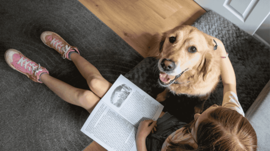 golden labrador looking up at the camera whilst a little girl is sat by its side reading a book