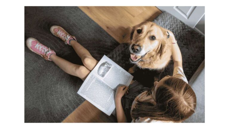 Golden lab sat next to little girl reading a book